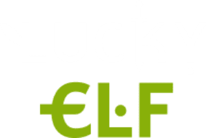 Lucky Elf